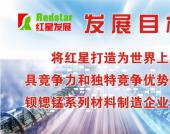 ���ݺ��Ƿ�չ������ҵ�������ι�˾