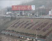 ������ӭ��