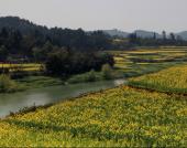 ��̬�����Ŀ�����