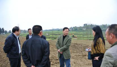 Ҫ��Ⱥ��·�߽���ʵ���Ҫ��ᴩ��