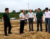 ����Ժ��ƶ�츱����֣�Ŀ�һ�е��������������з�ƶ��������